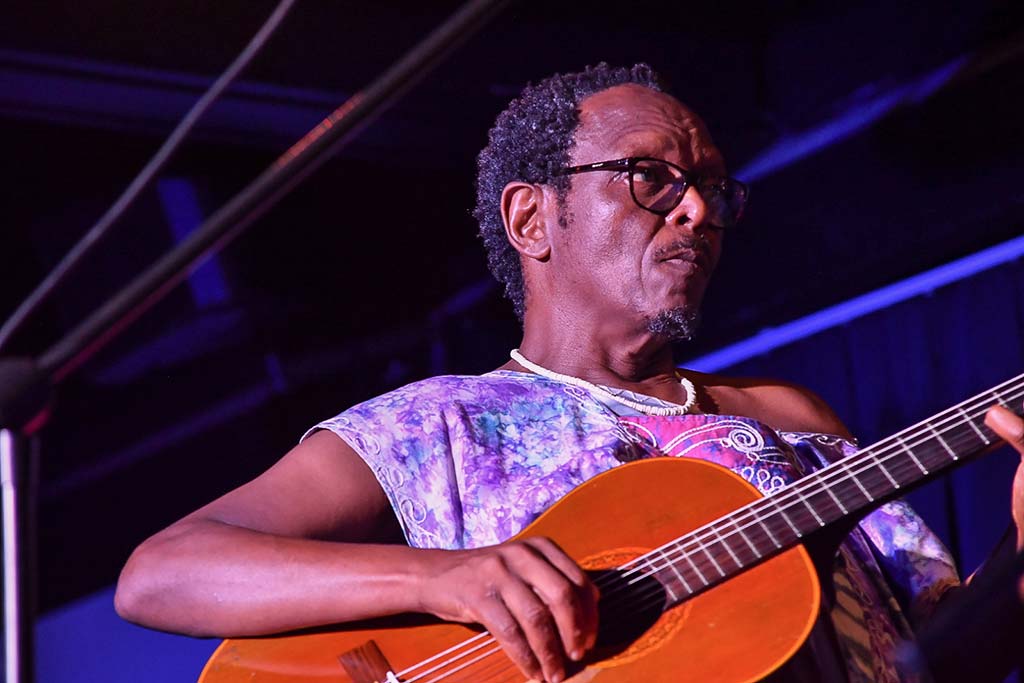 Sazi Ne Skokiana img